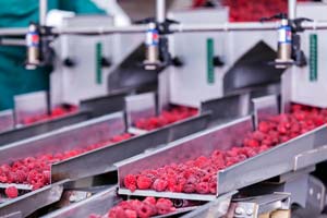 Food Processing Line
