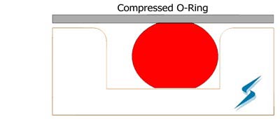 Compressed O-Ring
