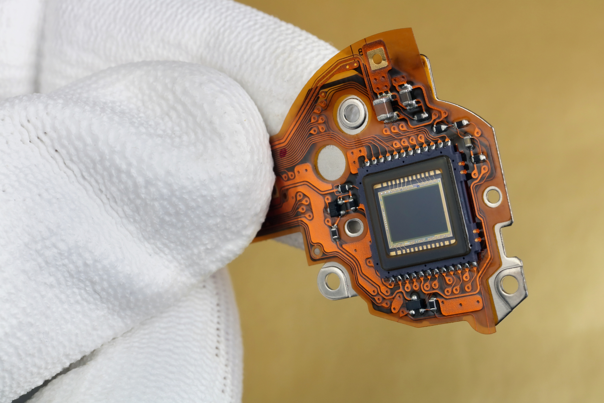 A technician controls the quality of a modern sensor for a photo camera