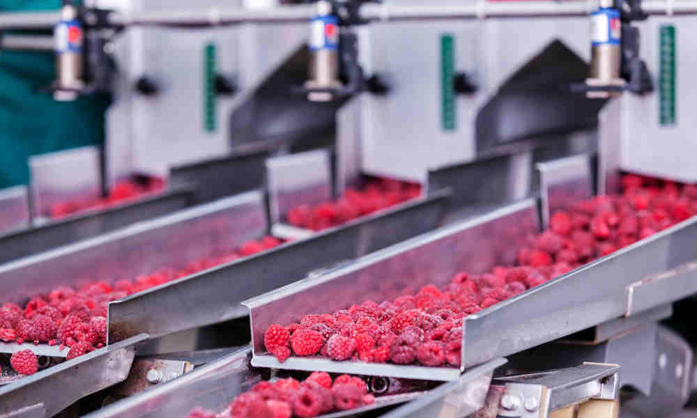 Fruit on food processing production line