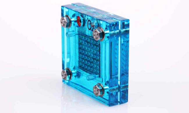 Example of a hydrogen fuel cell