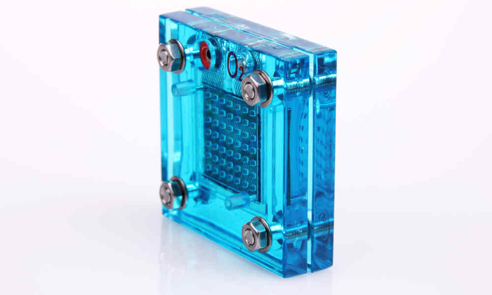 Example of a hydrogen fuel cell